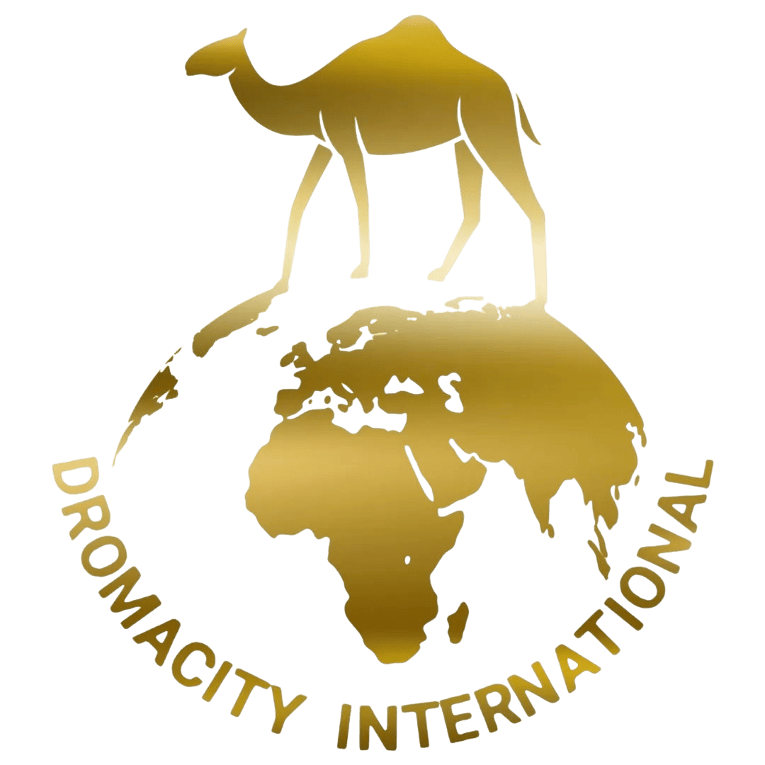 Dromacity Logo